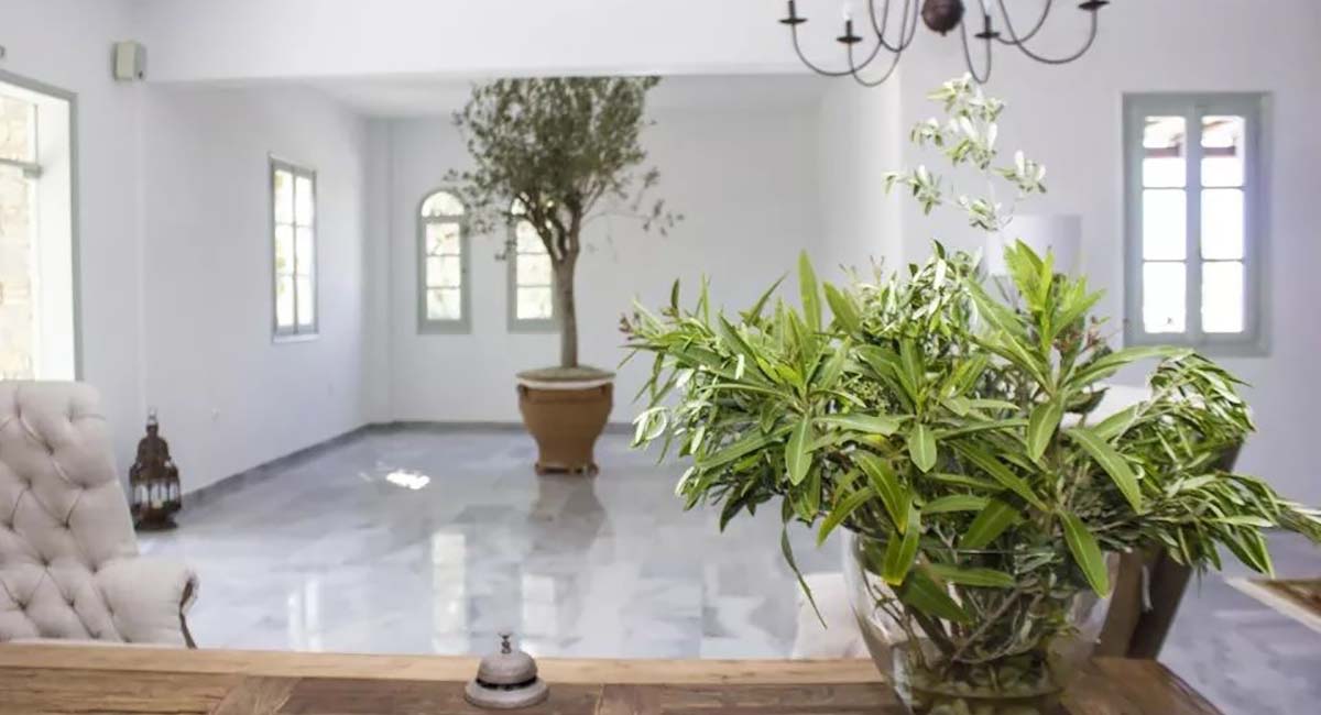 Parosland Hotel Aliki