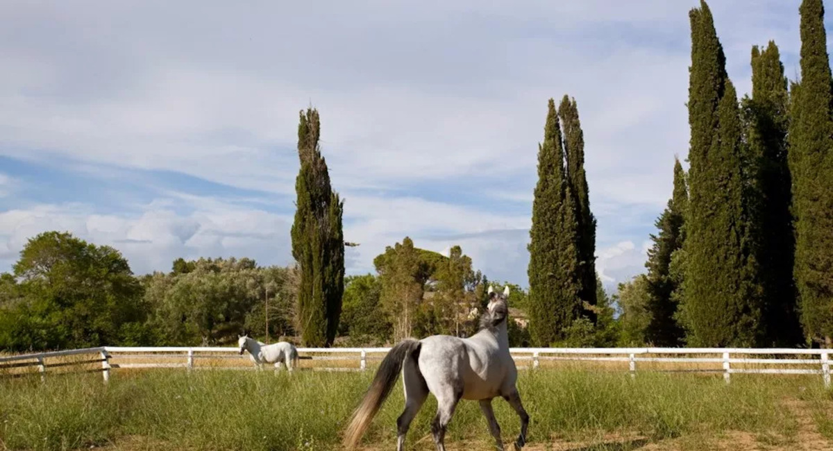 Pelecas Country Club