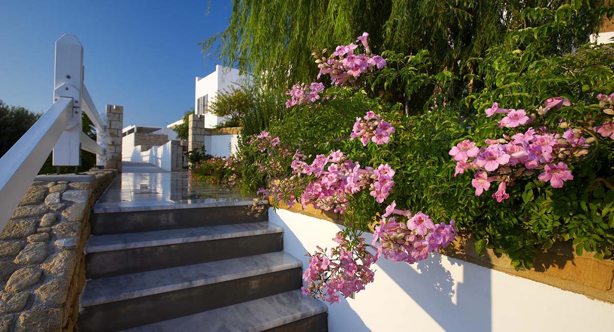 Perigiali Hotel Skyros