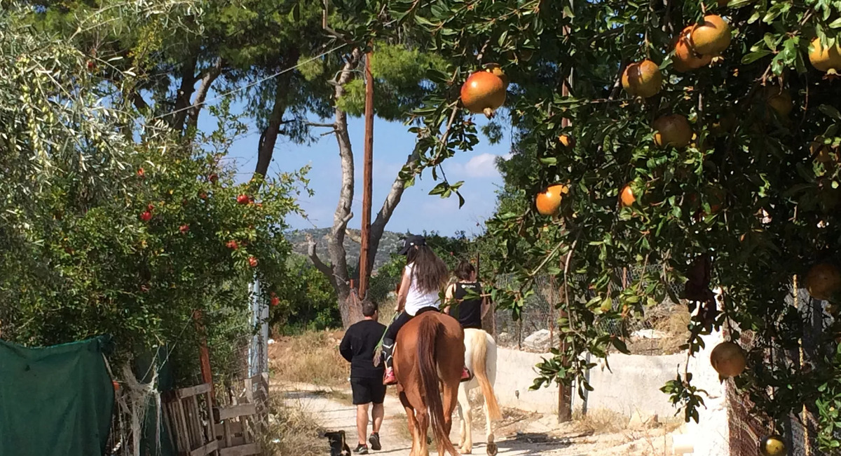 Perivoli Country Retreat