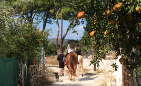 Perivoli Country Retreat (incl. auto)