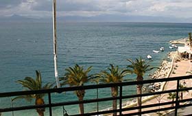 Petit Palais (incl auto)