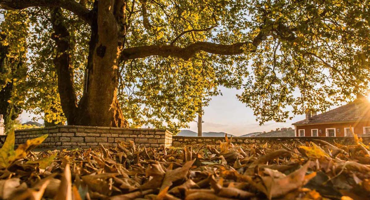 Pirrion Sweet Hospitality