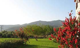 Polismata (incl. auto)