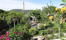 Porfyron Hotel Zagori (incl. auto)