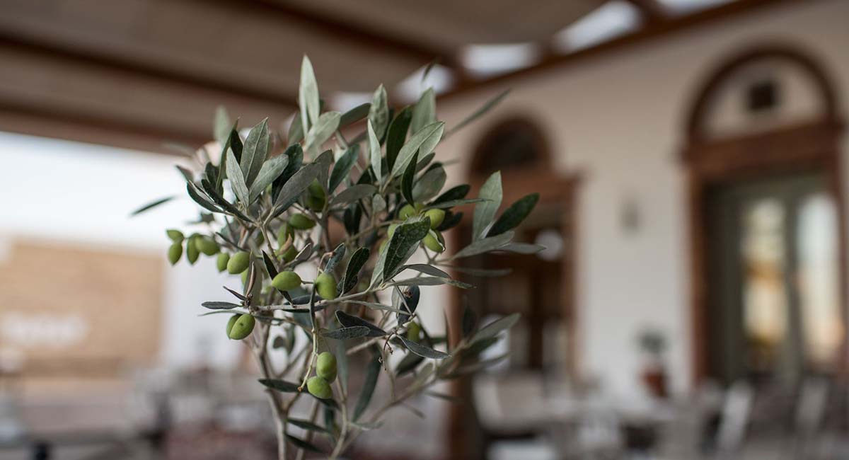Porto Naxos Hotel