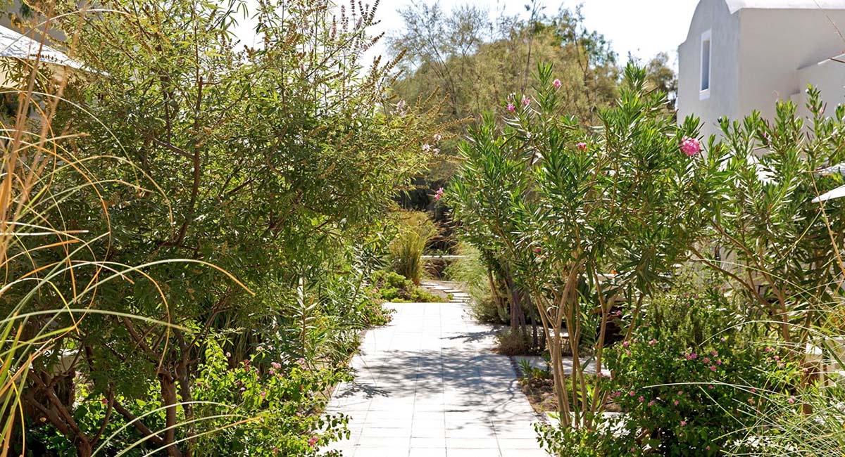 Rose Bay Hotel Santorini