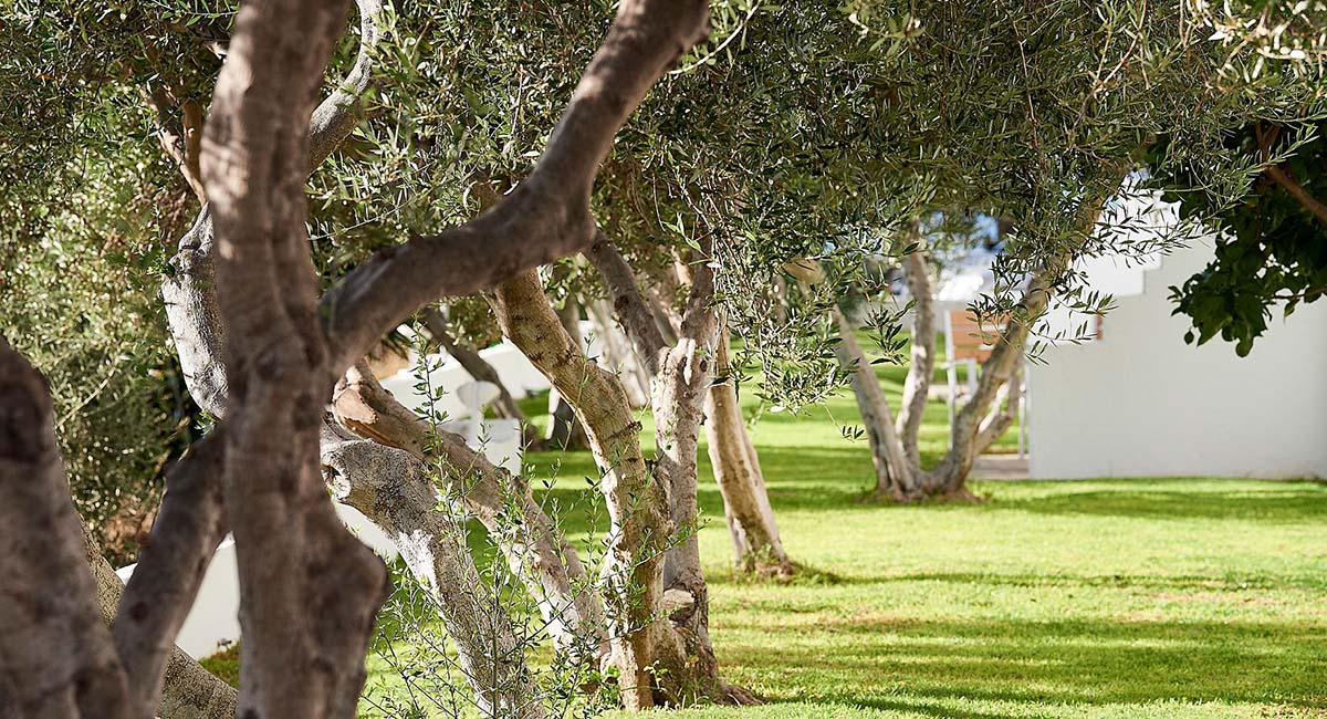 Santa Maria Village Milos