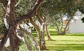 Santa Maria Village Milos