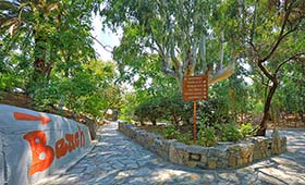 Sitia Beach Hotel (incl. auto)