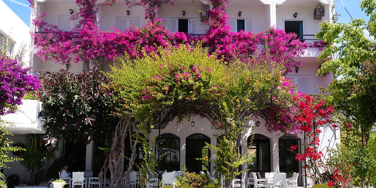 Skala Hotel Patmos