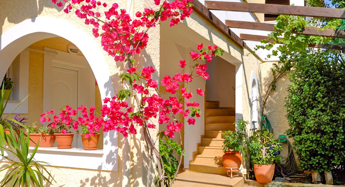 Treehouse Holiday Homes