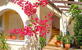 Treehouse Holiday Homes (incl. auto)