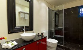 Zagori Suites (incl. auto)