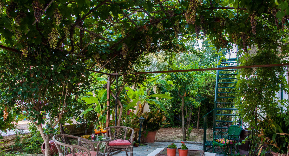 Zante Nest Zakynthos